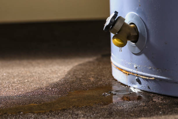 Best Water damage mitigation services  in Murfreesboro, AR