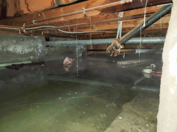 Best 24/7 water damage repair  in Murfreesboro, AR