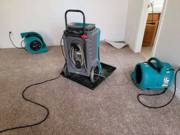 Best Flooded house restoration  in Murfreesboro, AR