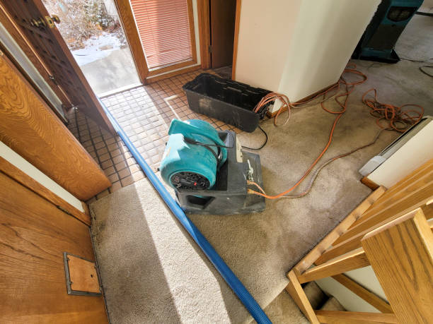 Best 24-hour water damage restoration  in Murfreesboro, AR