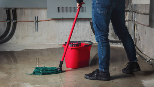  Murfreesboro, AR Water damage restoration Pros