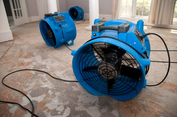 Best Fire Damage Restoration  in Murfreesboro, AR