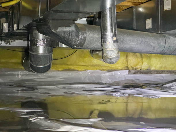 Best Carpet water damage restoration  in Murfreesboro, AR