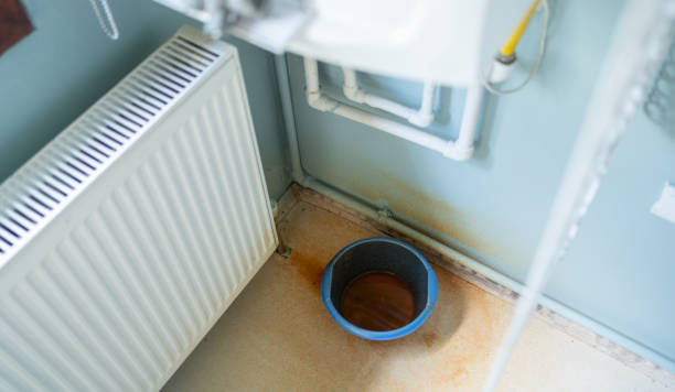 Best Basement water damage restoration  in Murfreesboro, AR