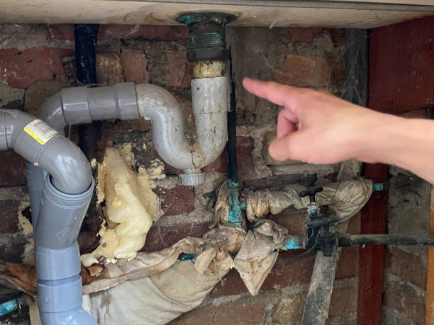 Best Water damage cleanup near me  in Murfreesboro, AR